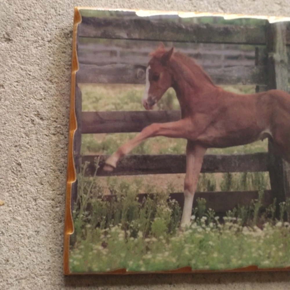 Retro Western Horse Wall Decor
